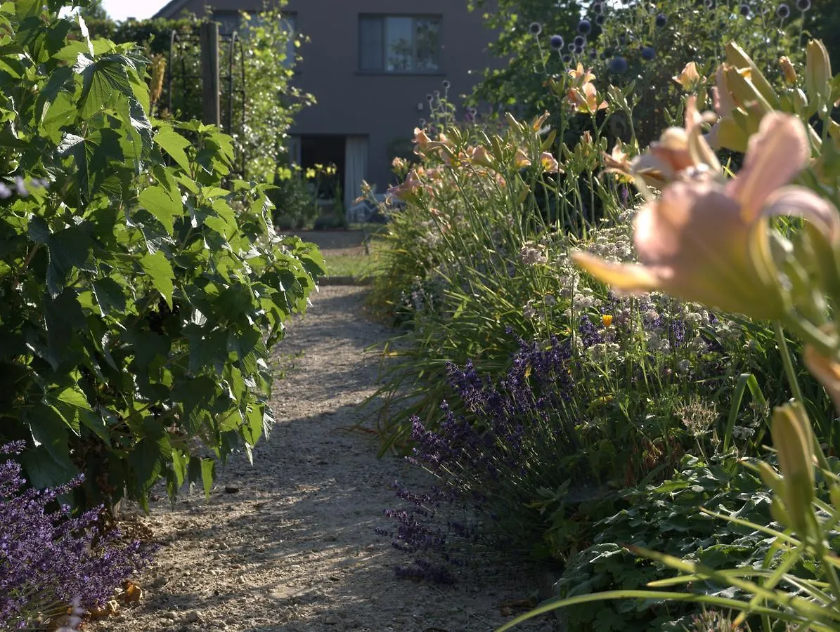 ****  Bed and Breakfast Barbara's Bed & Breakfast Sterrebeek Belgien